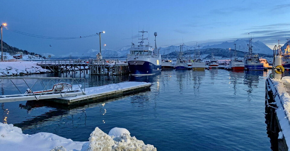 MILLIONINNDRAGNING: «Geitingen» ved kai etter samfisket som kan ha kostet rederiet over en million kroner