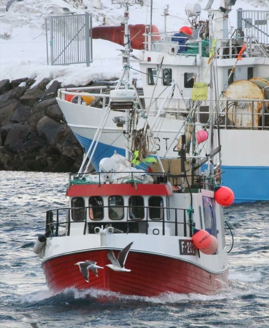 AVVIK: «Korsnesjenta ble straffet med overtredelsesgebyr på grunn av stort avvik i innmelding.
