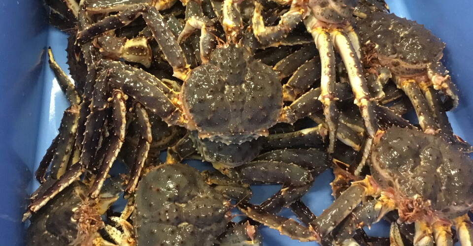 INNDRAGNING: Fangstverdi på over 50 000 kroner står i fare for å bli inndratt.