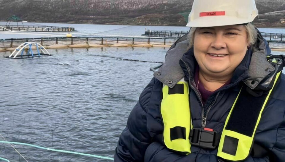 Høyre-leder Erna Solberg leder nå landets største parti. Her er hun på besøk ute på oppdrettsanlegg.