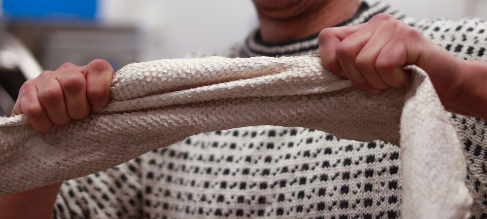 Skoprodusent vil gjøre fisken til den nye kua - får 160 000 i innovasjonsstøtte