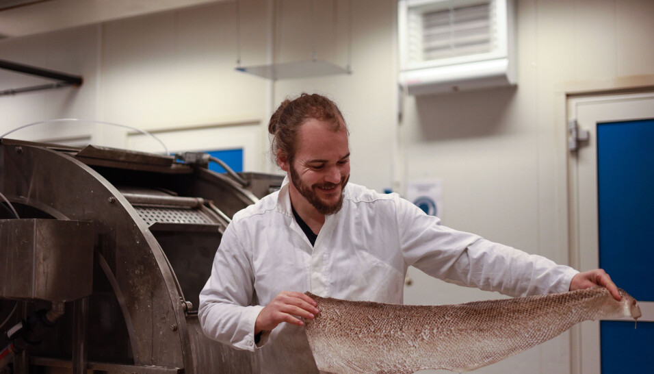 SKO AV FISKESKINN: Designdrevet innovasjonsprogram (DIP) skal sikre bedre og mer samfunnsnyttig innovasjon gjennom bruk av designmetodikk i idéutviklingsfasen av nyskapingsprosjekter. FOGG Gildeskål er et av selskapene som har fått støtte. SKO AV FISKESKINN: Designdrevet innovasjonsprogram (DIP) skal sikre bedre og mer samfunnsnyttig innovasjon gjennom bruk av designmetodikk i idéutviklingsfasen av nyskapingsprosjekter. FOGG Gildeskål er et av selskapene som har fått støtte.