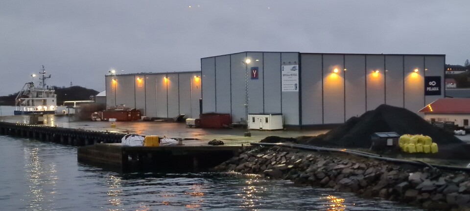Pelagia AS med 54 prosent vekst på fem år