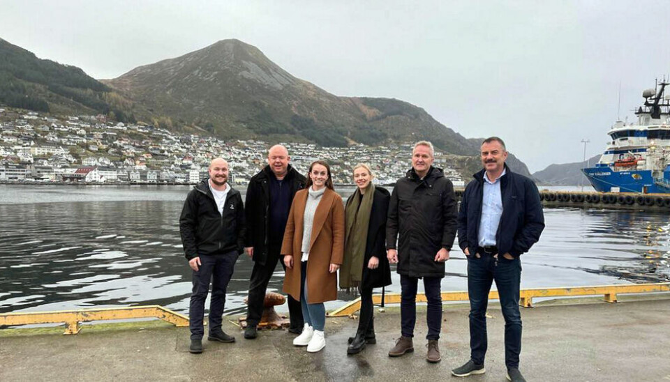 Fra venstre: Robert Ervik, Hogne Bleie, Julie Trollebø Kvalheim og Renate Rimstad Bøe, Bent Gangsø og Kenneth Brandal. Fra venstre: Robert Ervik, Hogne Bleie, Julie Trollebø Kvalheim og Renate Rimstad Bøe, Bent Gangsø og Kenneth Brandal.