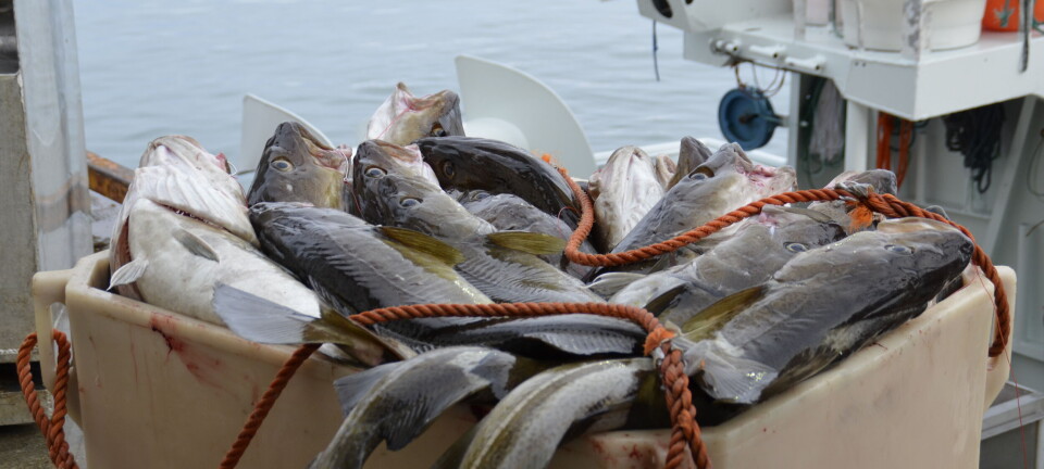 Uværet stoppet store deler av kystflåten