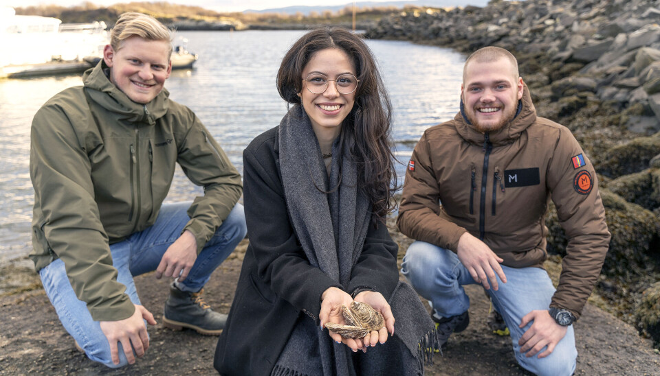 ØSTERS: CultureBlue skal igang med klekking og produksjon av østers. Fv Dimitri Hendrik Blaauw, Caroline Maylinn Grebstad og Kirill Spiten. ØSTERS: CultureBlue skal igang med klekking og produksjon av østers. Fv Dimitri Hendrik Blaauw, Caroline Maylinn Grebstad og Kirill Spiten.