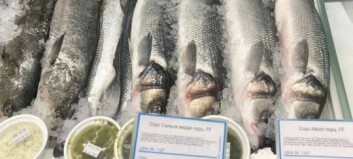 Ukraina: Eksport av fisk på vei opp