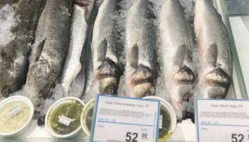 Ukraina: Eksport av fisk på vei opp