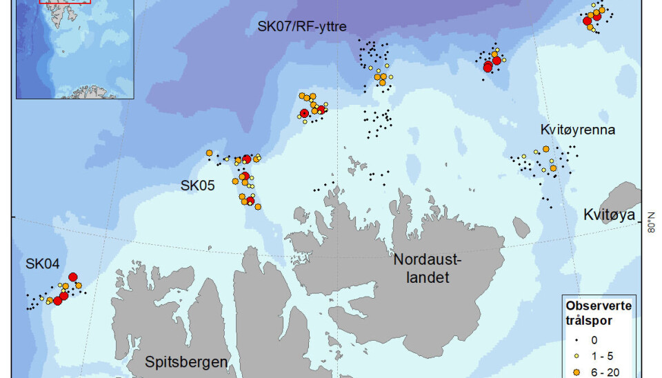 SVALBARD: Kartet viser alle stasjonene som ble undersøkt. Svarte prikker er stasjoner der det ikke ble observert trålspor, mens de fargede punktene er stasjoner med observasjoner av slike spor. SVALBARD: Kartet viser alle stasjonene som ble undersøkt. Svarte prikker er stasjoner der det ikke ble observert trålspor, mens de fargede punktene er stasjoner med observasjoner av slike spor.