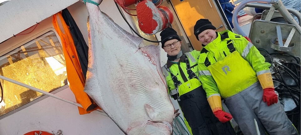 Havets dronning dominerte i uke 46