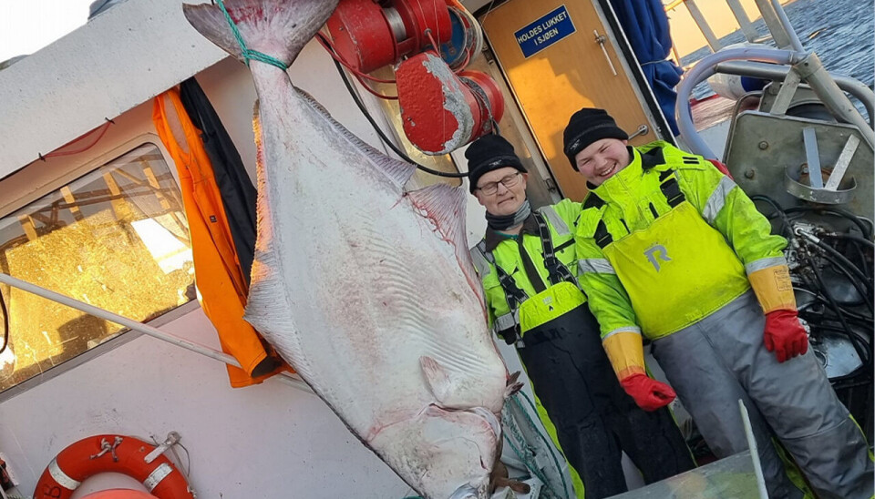 STORKVEITE: En av kveitene som ble tatt denne uka, ombord hos Kjell Ingebrigtsen på Fugløyfisk. Som mannskap har Fiskarlagets forhenværende leder med seg skole-eleven Julian Steinsvold som også var praksiselev under skreifisket, samt Olaf Pedersen. STORKVEITE: En av kveitene som ble tatt denne uka, ombord hos Kjell Ingebrigtsen på Fugløyfisk. Som mannskap har Fiskarlagets forhenværende leder med seg skole-eleven Julian Steinsvold som også var praksiselev under skreifisket, samt Olaf Pedersen.