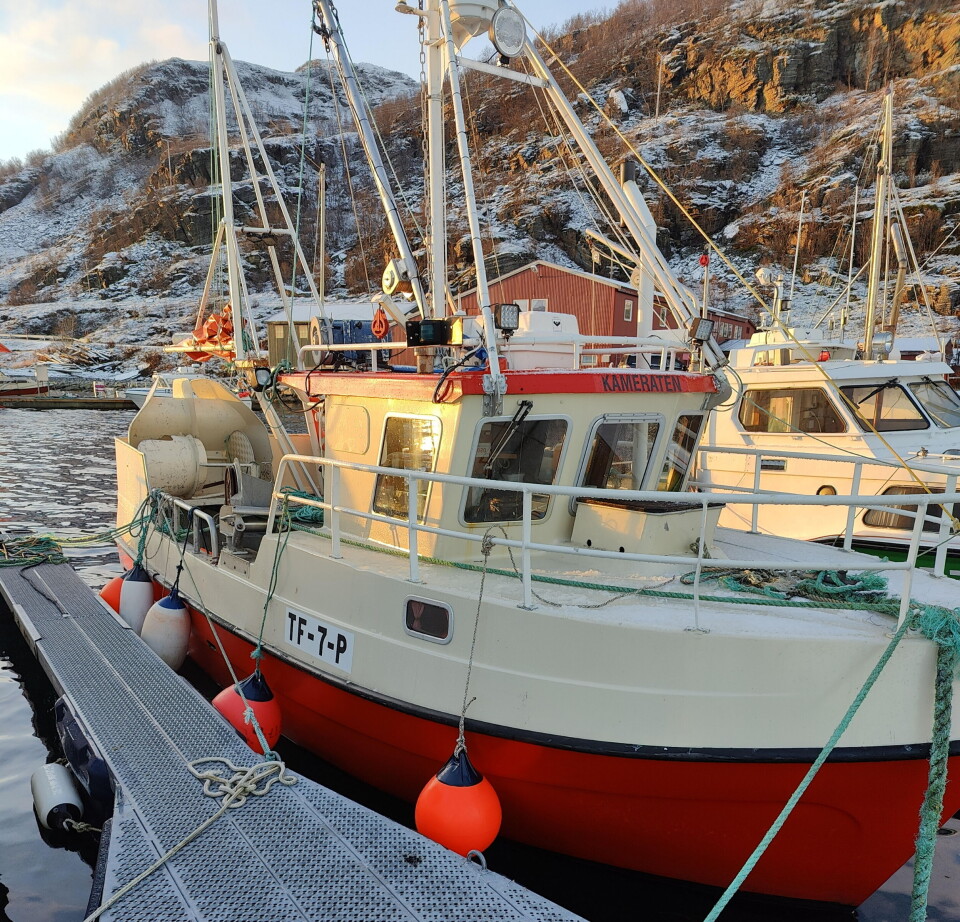 FOKUS PÅ MANGE ARTER: Med et par hundre kilo kongekrabbe i bunn, skal nok Børre få lønnsomhet i sjarken. FOKUS PÅ MANGE ARTER: Med et par hundre kilo kongekrabbe i bunn, skal nok Børre få lønnsomhet i sjarken.