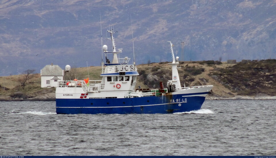BIFANGST AV PIGGHÅ: Garnbåten 'Storvig' har fått nesten 60 tonn bifangst av pigghå.