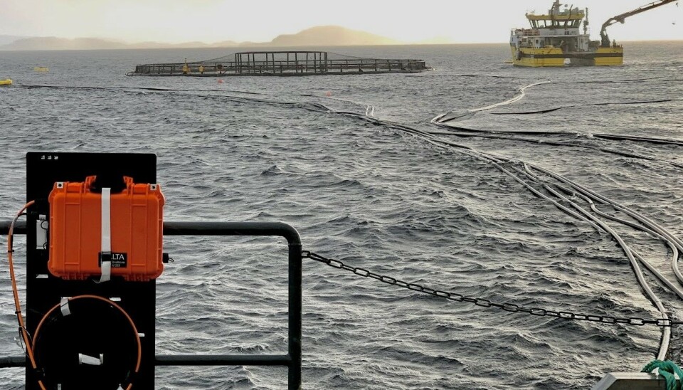 DIGITALISERING: Seacloud leverer digitaliseringsløsninger til havbruksnæringen. DIGITALISERING: Seacloud leverer digitaliseringsløsninger til havbruksnæringen.