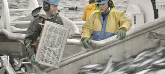 Kutt i havforskningen er alvorlig for fiskerinæringen