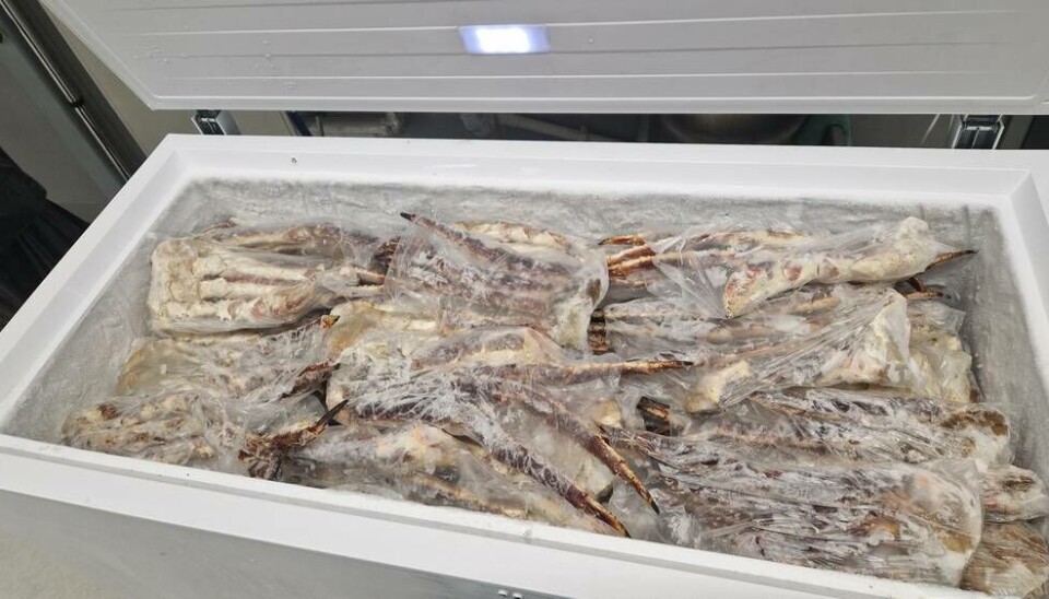 MILLIONBESLAG: Tolletaten beslagla rundt ett tonn kongekrabbe fordelt på to store biler ved riksgrensen på Kongsvinger forrige helg. Sjåførene har innrømt at krabben er ulovlig fisket. Politiet i Finnmark er koblet på saken, opplyser Tollvesenet. MILLIONBESLAG: Tolletaten beslagla rundt ett tonn kongekrabbe fordelt på to store biler ved riksgrensen på Kongsvinger forrige helg. Sjåførene har innrømt at krabben er ulovlig fisket. Politiet i Finnmark er koblet på saken, opplyser Tollvesenet.