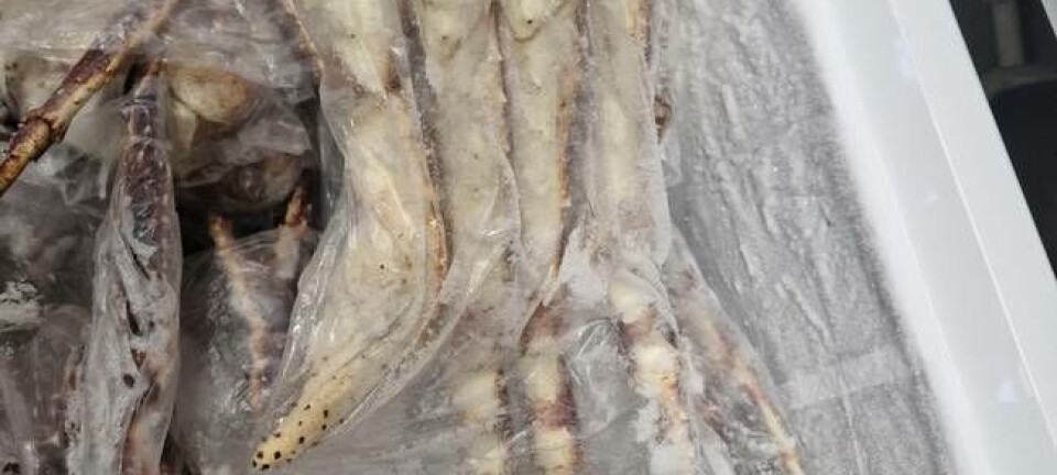 To tatt for kongekrabbesmugling for millionbeløp - for andre gang