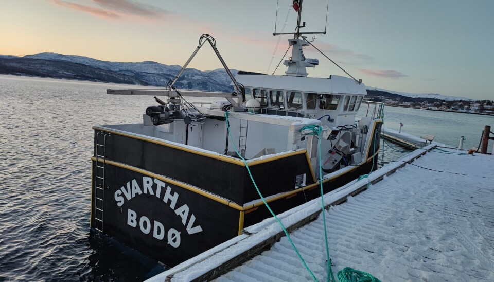 NYTT MATERIALE: Navnet gjenspeiler forhåpentligvis ikke fiskeegenskapene til hverken båt eller skipper. Men en flott båt har det blitt. Materialet er såkalt PE-plast, som ikke er vanlig i bruk på fiskebåter. NYTT MATERIALE: Navnet gjenspeiler forhåpentligvis ikke fiskeegenskapene til hverken båt eller skipper. Men en flott båt har det blitt. Materialet er såkalt PE-plast, som ikke er vanlig i bruk på fiskebåter.