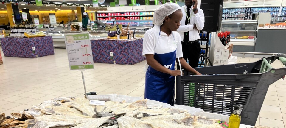 Skal investere nærmere en halv milliard i markedsføringen av norsk fisk i 2023