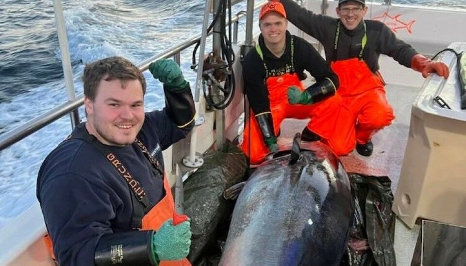 STØRJEFISKE: Med glade ungdommer på stangfiske med «Tare». STØRJEFISKE: Med glade ungdommer på stangfiske med «Tare».