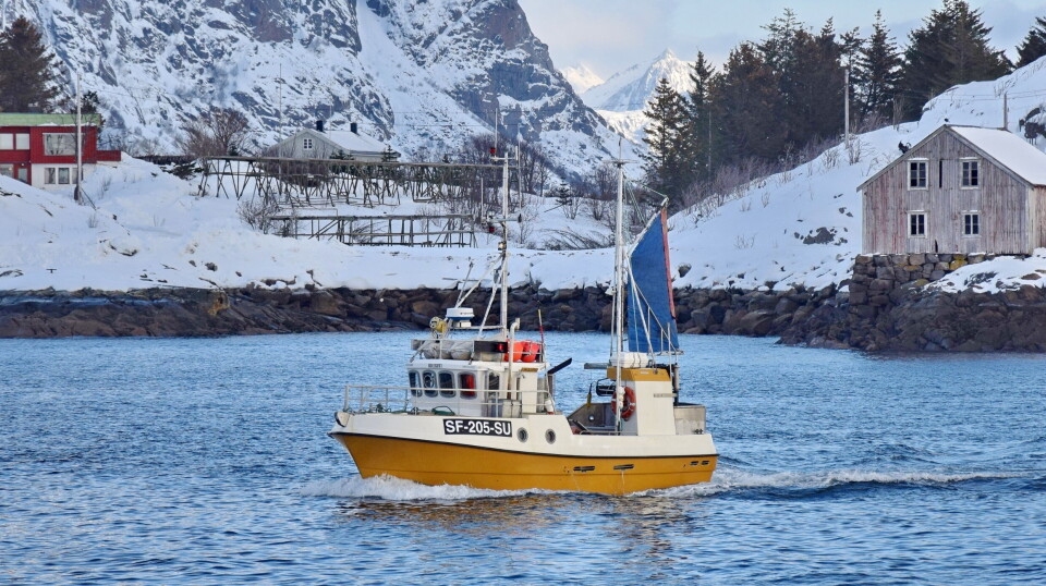 SUKAGUTT: Skipper på Sulagutt er en av mange som søker dispensasjon. SUKAGUTT: Skipper på Sulagutt er en av mange som søker dispensasjon.