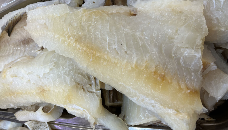 LUTEFISK: Tradisjonell lutefisk er en gammel mattradisjon, som lever i beste velgående.