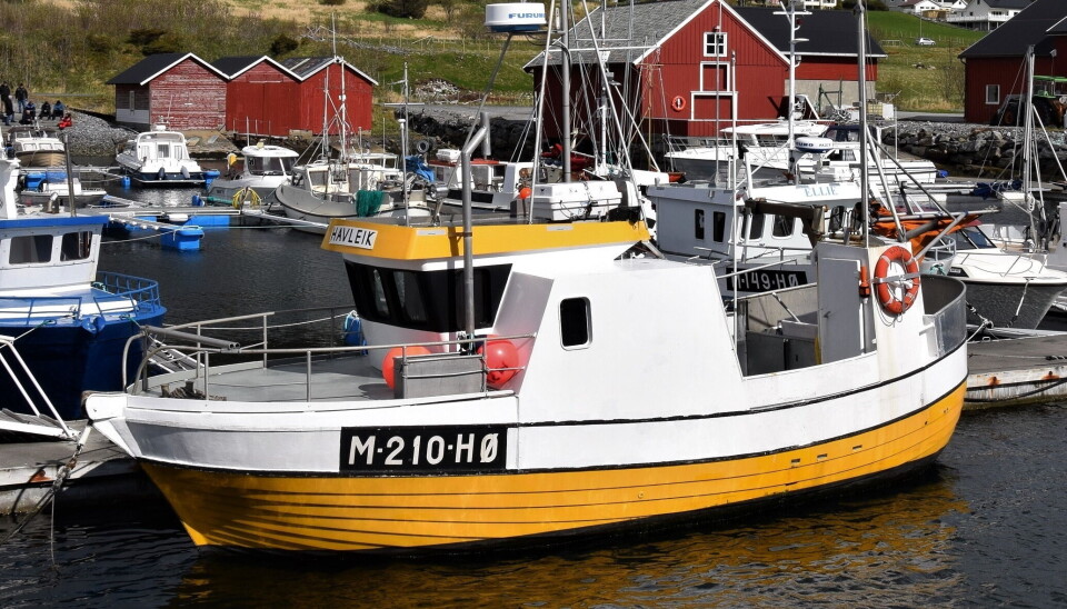 HUMMERKONGEN 2022: Sjarken 'Havleik' fisket nesten ett tonn hummer. HUMMERKONGEN 2022: Sjarken 'Havleik' fisket nesten ett tonn hummer.