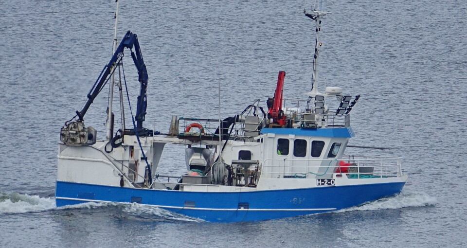 HESTMAKRELL: For kystnotbåten 'Elias' har hestmakrell blitt en viktig fiske. Ingen fisket mer hestmakrell i 2022 enn 'Elias'. HESTMAKRELL: For kystnotbåten 'Elias' har hestmakrell blitt en viktig fiske. Ingen fisket mer hestmakrell i 2022 enn 'Elias'.