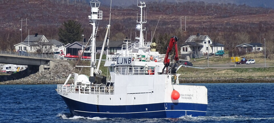 Flere og flere norske fiskefartøy til Angola