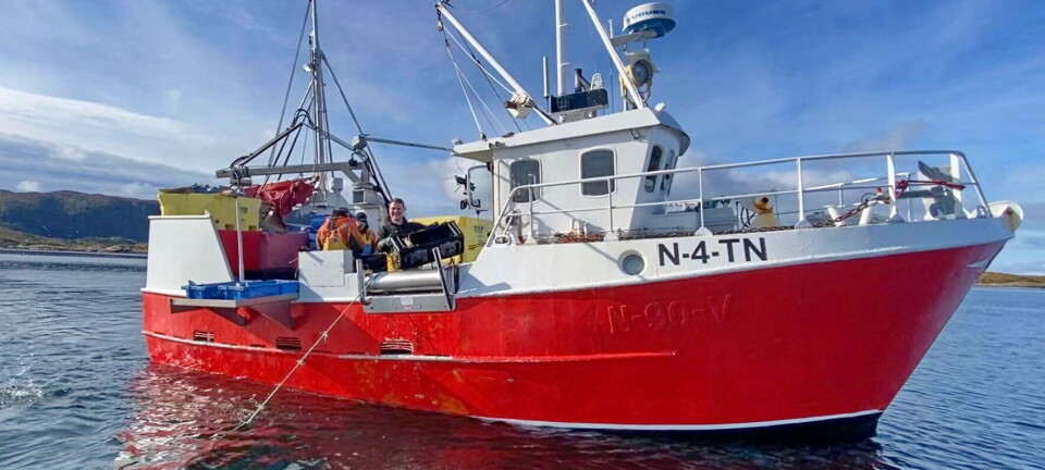 Taskekrabbe for 500 000 per måned - ikke 250 000