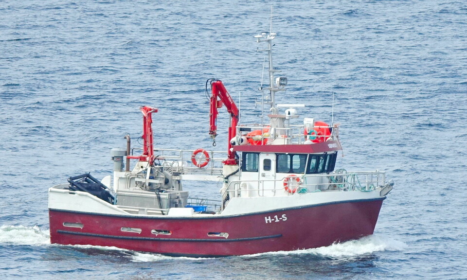 SØRVEST I NORD: 'Sørvest' er hordalending, men har startet fisket i nord med to fangster med NVG-sild på totalt 50 tonn innmeldt.