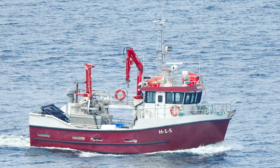 SØRVEST I NORD: 'Sørvest' er hordalending, men har startet fisket i nord med to fangster med NVG-sild på totalt 50 tonn innmeldt. SØRVEST I NORD: 'Sørvest' er hordalending, men har startet fisket i nord med to fangster med NVG-sild på totalt 50 tonn innmeldt.
