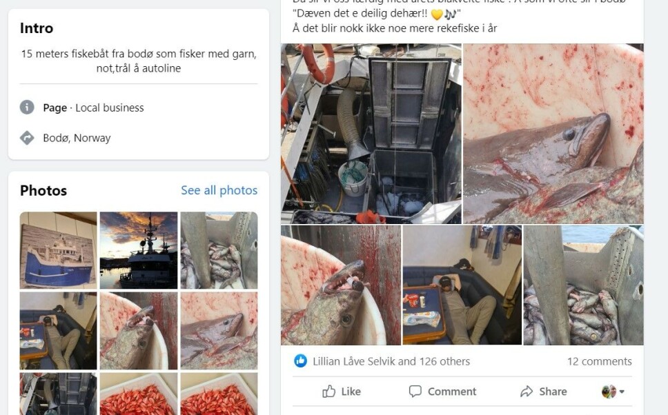 ÅRETS FACEBOOKSIDE 2023: Hvilken Facebookside fortjener ærestittelen?