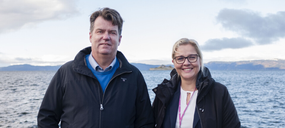 Inviterer sjømatnæringa til ny sjømatfestival