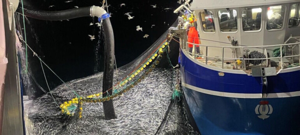 – De fleste låssetterne i Kvænangen er ferdige, forventer roligere tider