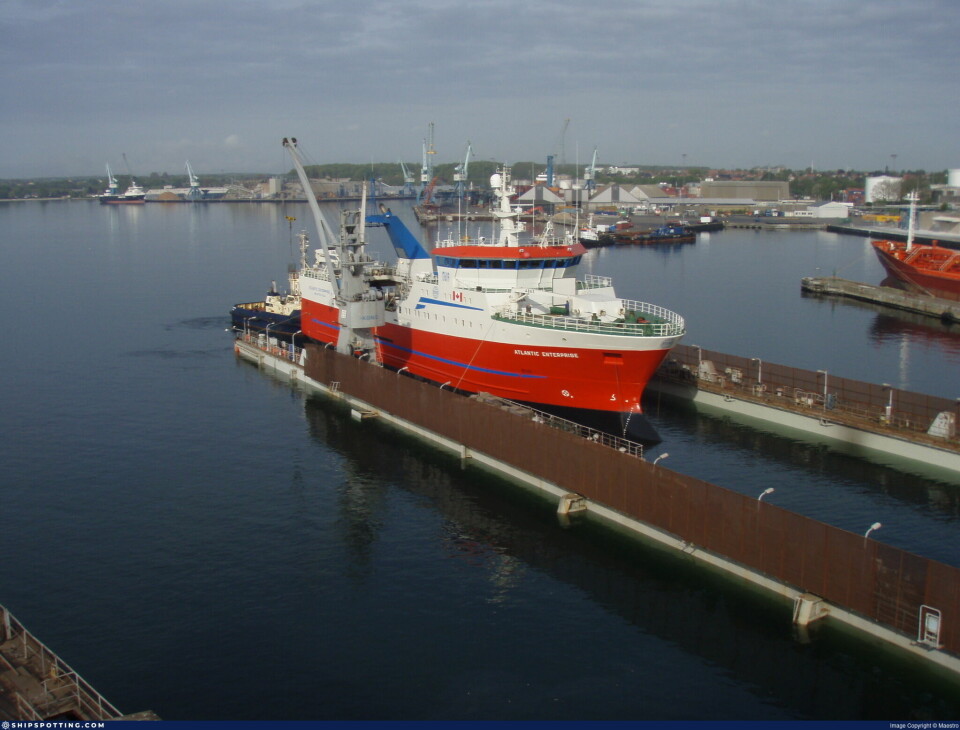 VED KAI I CANADA: 'Karine H' er 70 meter og den største norske rene reketråleren.