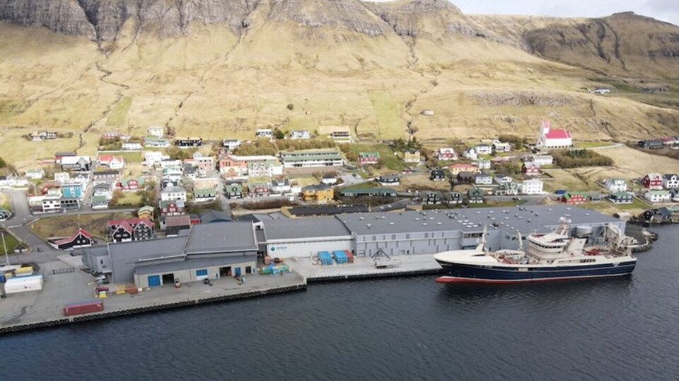PELAGISK MOTTAK: Vardin Pelagic har en stor fabrikk for pelagisk konsumfisk.