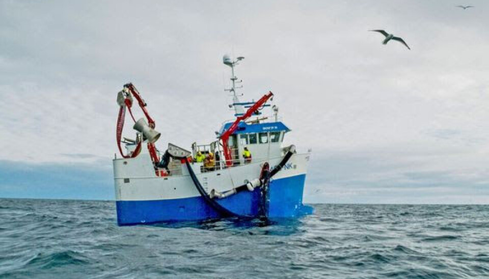 KUNNSKAP: Det er viktig å innhente kunnskap om kapasitet og konkurranseforhold for å fastsette rammevilkårene i kystflåten.