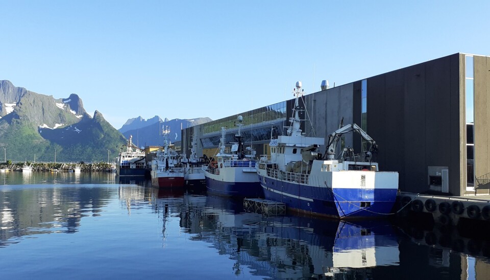 HUSØY: Brødrene Karlsen AS og Husøy er en av kystsamfunnene på Senja som rammes av strømmangel. HUSØY: Brødrene Karlsen AS og Husøy er en av kystsamfunnene på Senja som rammes av strømmangel.
