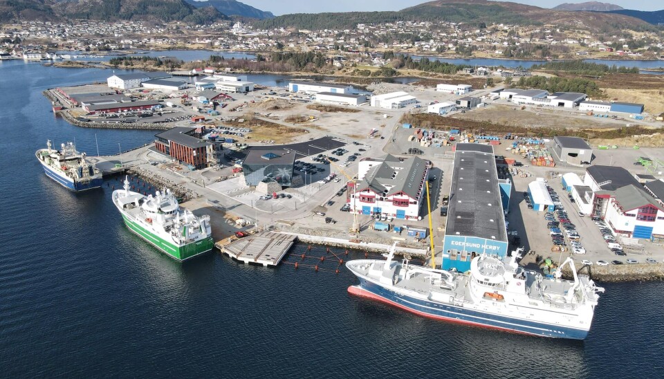HERØY: Egersund Herøy er lokalisert på Mjølstadneset. HERØY: Egersund Herøy er lokalisert på Mjølstadneset.