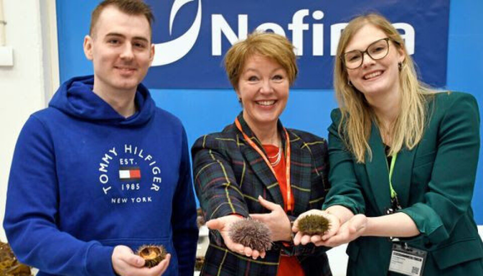 KRÅKEBOLLER: Fv Lars-Arne Boge, sjef i Spiny Seafood AS, Bente E. Torstensen, divisjonsdirektør Nofima og Oda Bjørnsborg, kommunikasjonsrådgiver i Nofima viser frem kråkeboller under etableringen av et nasjonalt nettverk for nye oppdrettsarter. KRÅKEBOLLER: Fv Lars-Arne Boge, sjef i Spiny Seafood AS, Bente E. Torstensen, divisjonsdirektør Nofima og Oda Bjørnsborg, kommunikasjonsrådgiver i Nofima viser frem kråkeboller under etableringen av et nasjonalt nettverk for nye oppdrettsarter.