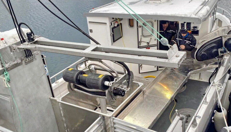 KREPSEJEGER: 'Maja Rita' er en flott sjark som skal brukes til fiske etter sjøkreps, krabbe og hummer.