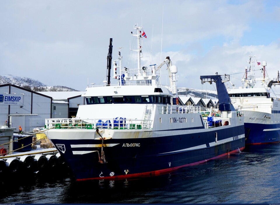 FIKK TRÅLEN I PROPELLEN: Den russiske tråleren 'Alferas' er nå på vei til fiskefeltet vest av Svalbard. FIKK TRÅLEN I PROPELLEN: Den russiske tråleren 'Alferas' er nå på vei til fiskefeltet vest av Svalbard.