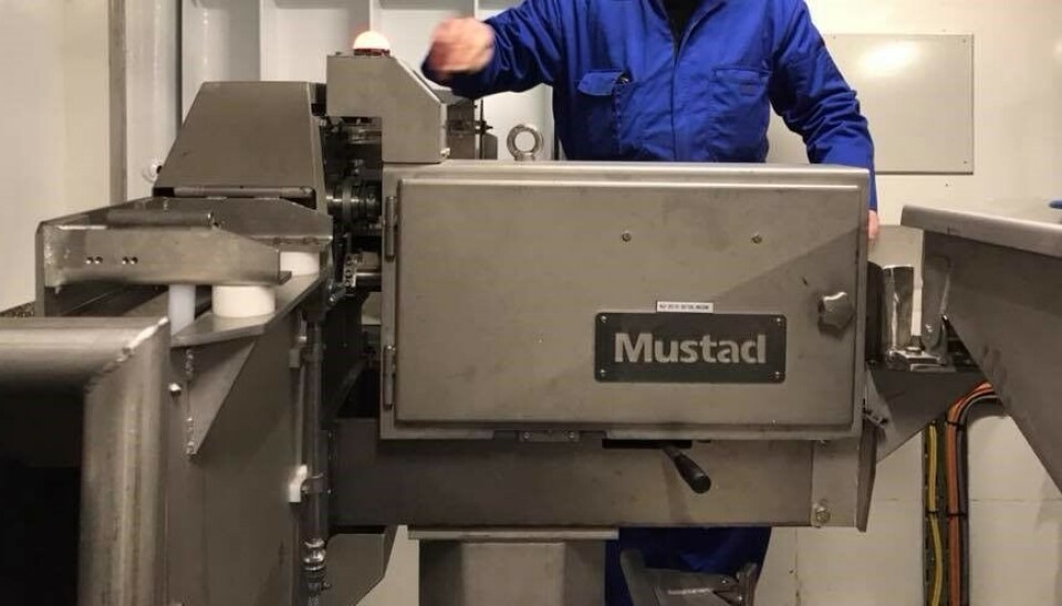 MUSTAD: Svak vekst i omsetningen for Mustad Autoline fra 2020 til 2021. MUSTAD: Svak vekst i omsetningen for Mustad Autoline fra 2020 til 2021.