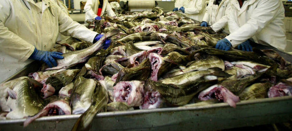 Krevjande tider for norsk fiskerinæring