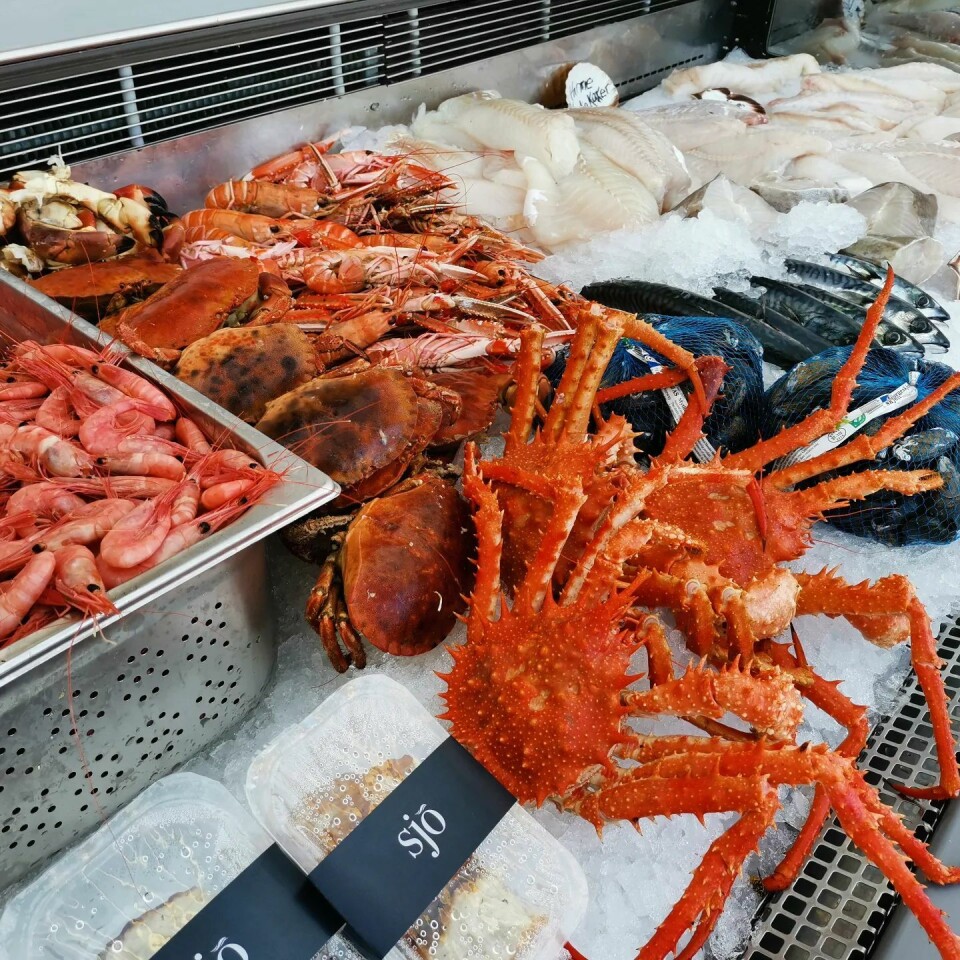MYE SPENNENDE: Fiskebutikken Sjø Fisk og Skalldyr tilbyr flere delikatesser som er langt fra vanlige i norske fiskebutikker, - som for eksempel trollkrabbe. (Foto: Sjø Fisk og Skalldyr) MYE SPENNENDE: Fiskebutikken Sjø Fisk og Skalldyr tilbyr flere delikatesser som er langt fra vanlige i norske fiskebutikker, - som for eksempel trollkrabbe. (Foto: Sjø Fisk og Skalldyr)