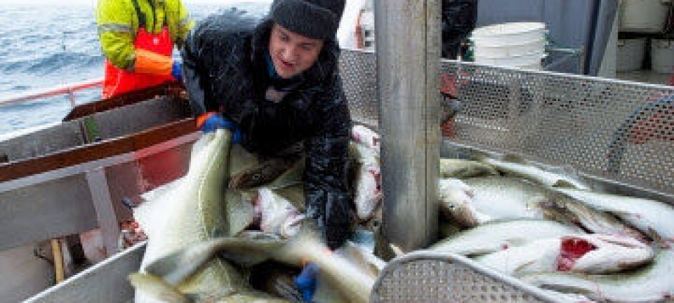 Disse seks vant i rekrutteringskvote-lotteriet for 2023: