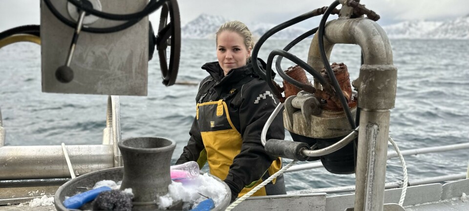 Sisilie fikk rekrutteringskvote: – Det betyr at jeg får et større driftsgrunnlag.