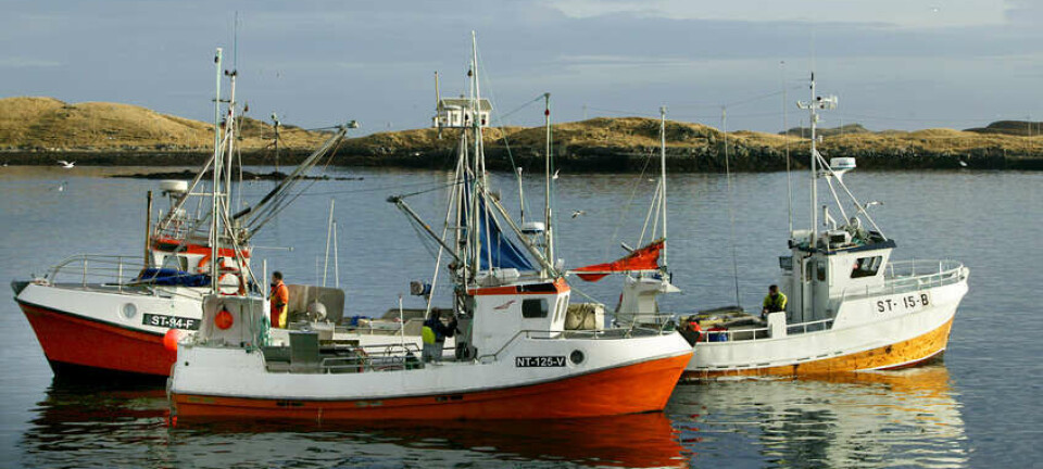 Rapporteringskravene: Gode nyheter for de minste