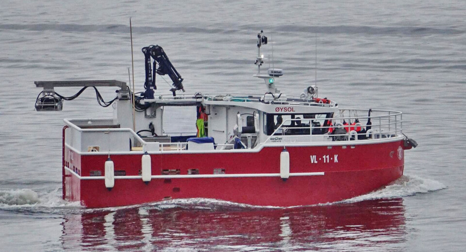 GARN OG LEPPEFISKETEINER: Tore Hellen som fisker med den to år gamle sjarken «Soløy» leverte i fjor nesten 30 tonn fisk og 2247 kilo leppefisk. Han kombinerer teinefiske etter leppefiske og fiske med garn. GARN OG LEPPEFISKETEINER: Tore Hellen som fisker med den to år gamle sjarken «Soløy» leverte i fjor nesten 30 tonn fisk og 2247 kilo leppefisk. Han kombinerer teinefiske etter leppefiske og fiske med garn.